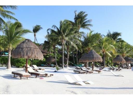 00 Old Dixie Highway Hudson FL 34667 W7881234 image10