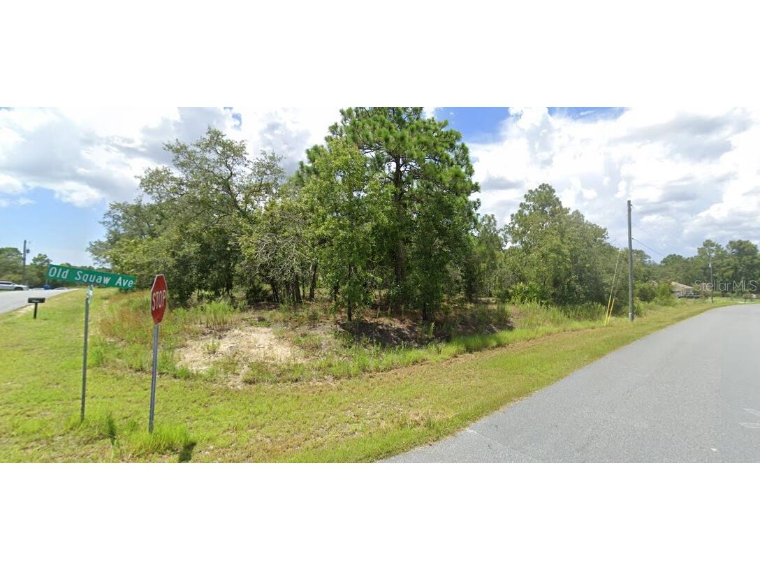 00 Old Squaw Avenue Weeki Wachee FL 34614 TB8470702 image1