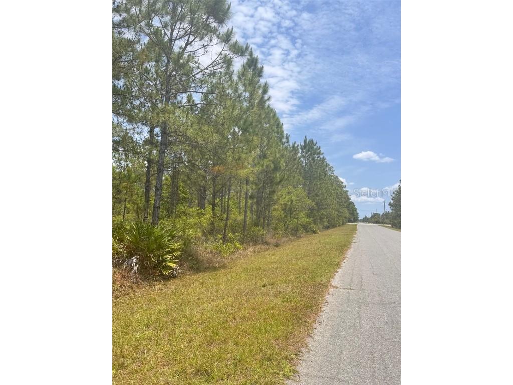 00 Ortega Street Orlando FL 32833 O6306621 image1