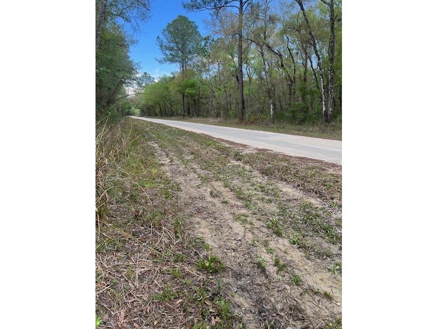 00 Packingham Drive Webster FL 33597 G5103947 image4