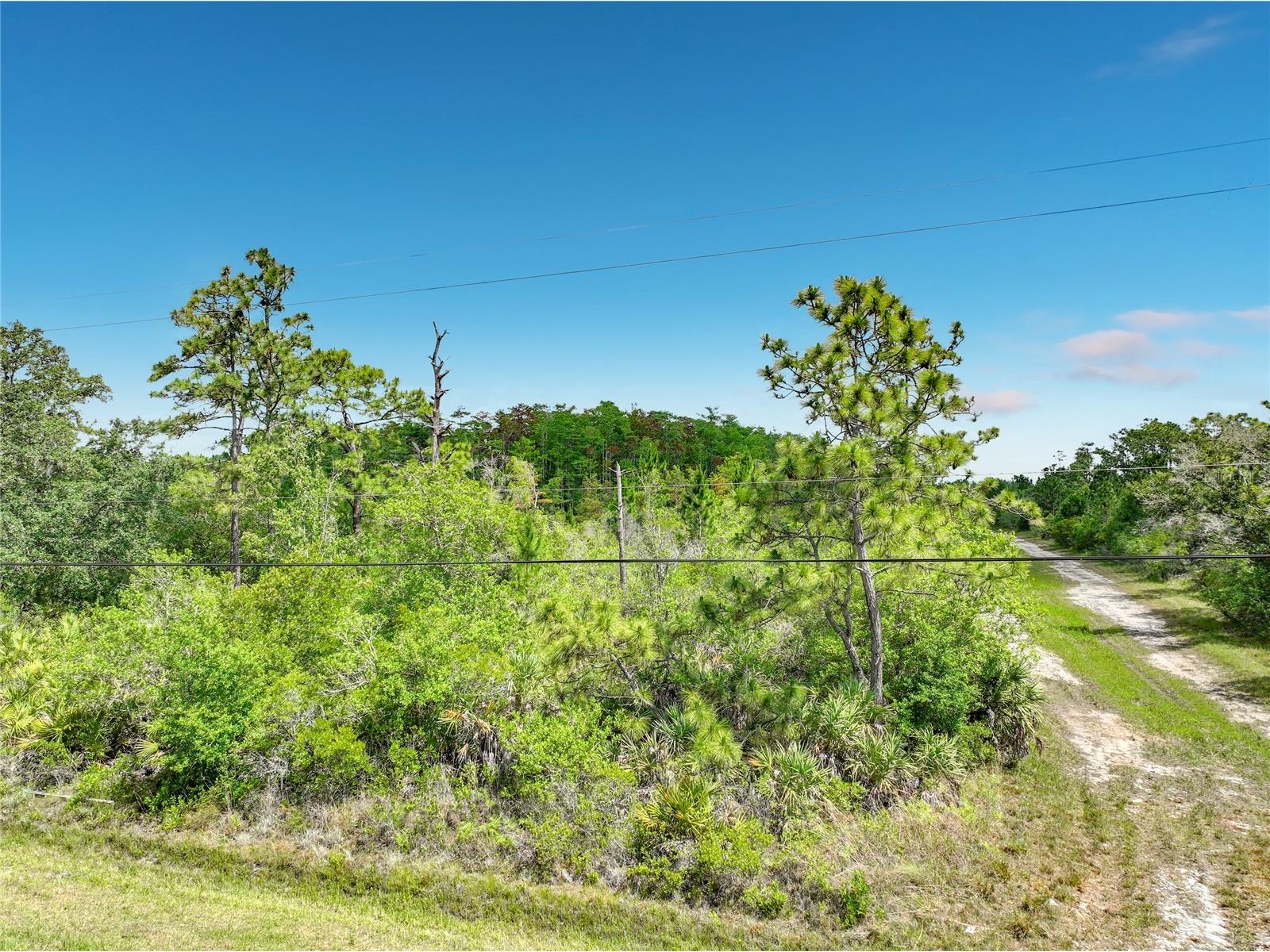 00 Paddock Street Orlando FL 32833 O6410284 image6