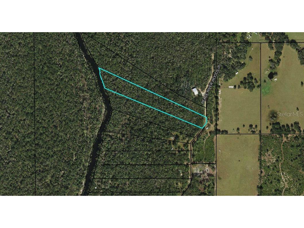 00 Peace River Woods Wauchula FL 33873 - PEACE RIVER G5096775 image1