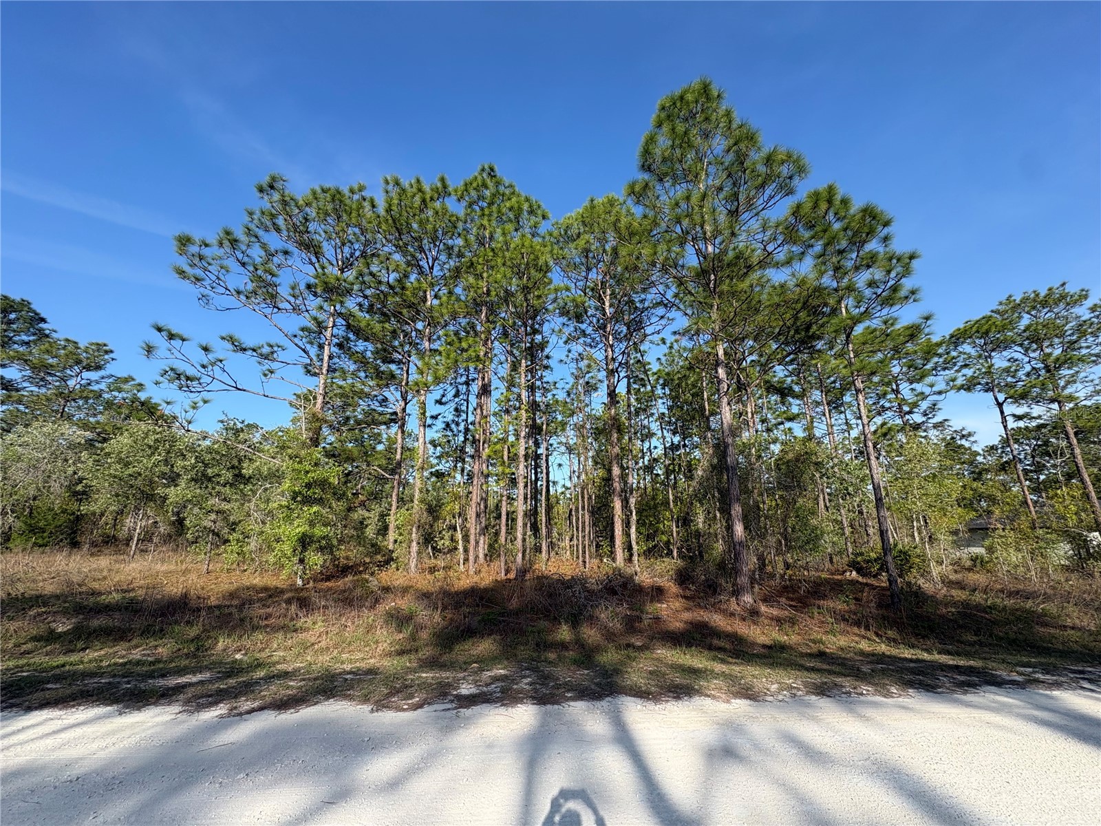 00 Penn State Road Weeki Wachee FL 34613 W7884415 image3