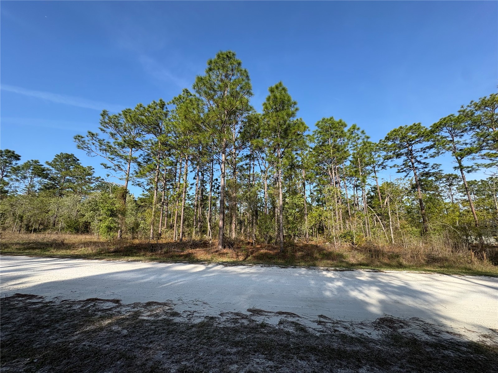 00 Penn State Road Weeki Wachee FL 34613 W7884415 image4