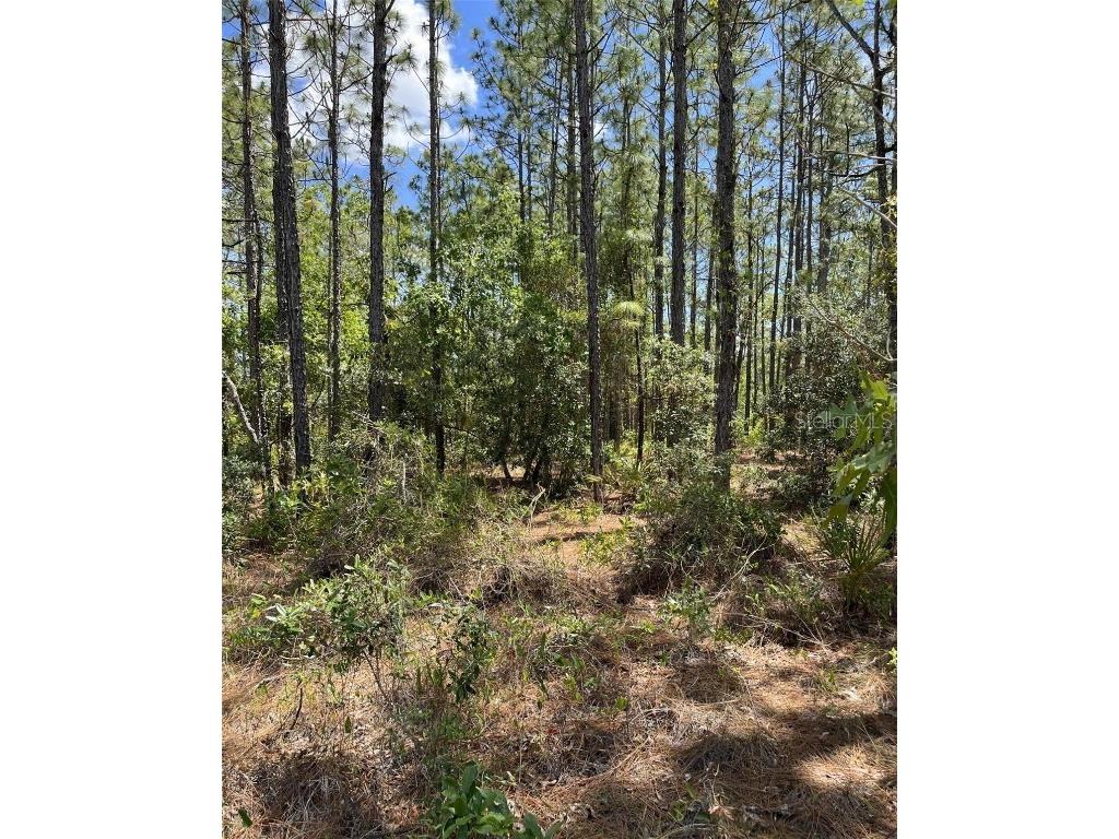 00 Pomp {lot7003} Parkway Weeki Wachee FL 34614 W7875817 image1