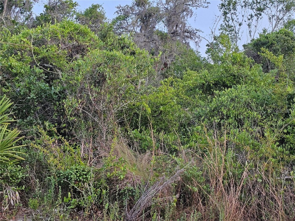 00 Poppy Street New Port Richey FL 34654 TB8383091 image1