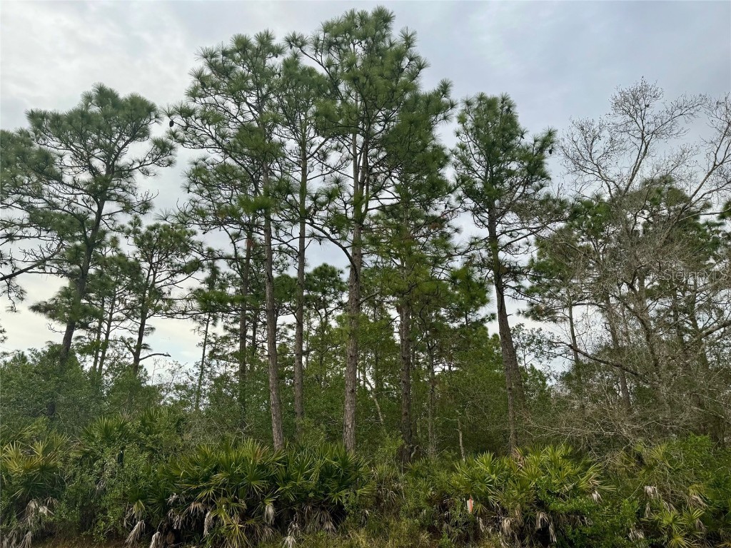 00 Quinlan Street Orlando FL 32833 O6169791 image1