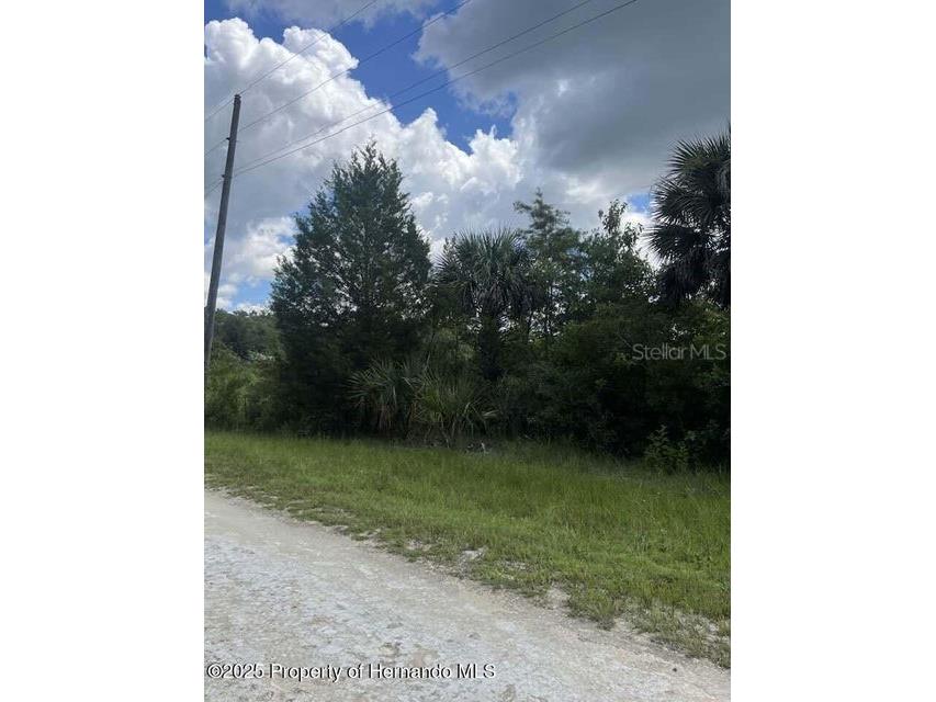 00 Ramsey Road Brooksville FL 34614 TB8329915 image10