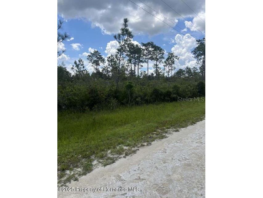 00 Ramsey Road Brooksville FL 34614 TB8329915 image3