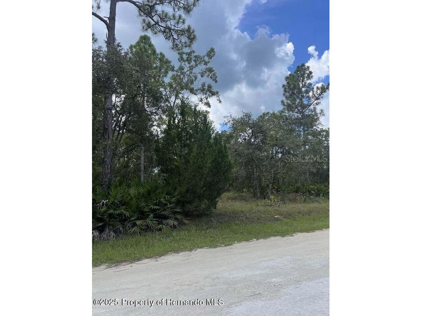 00 Ramsey Road Brooksville FL 34614 TB8329915 image4