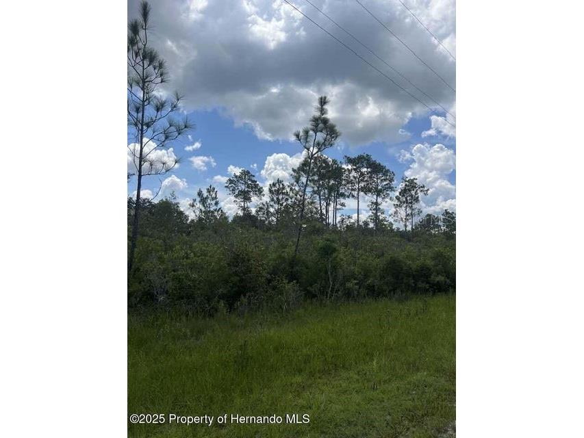 00 Ramsey Road Brooksville FL 34614 TB8329915 image5