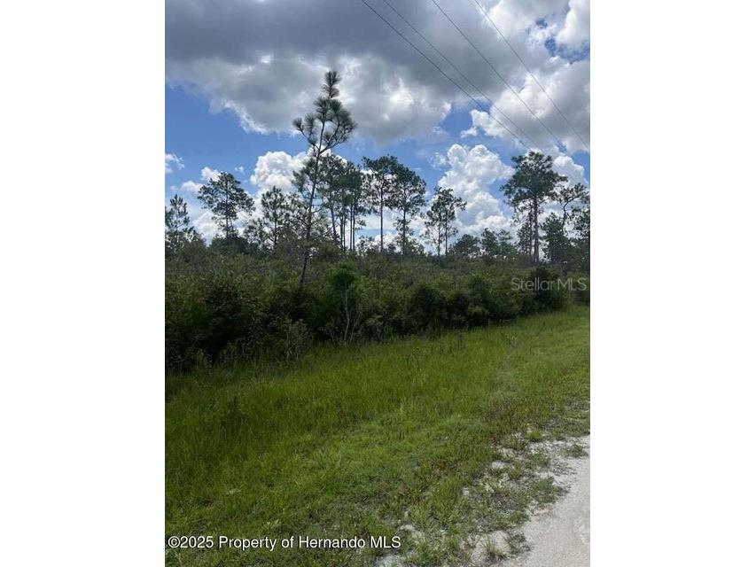 00 Ramsey Road Brooksville FL 34614 TB8329915 image6