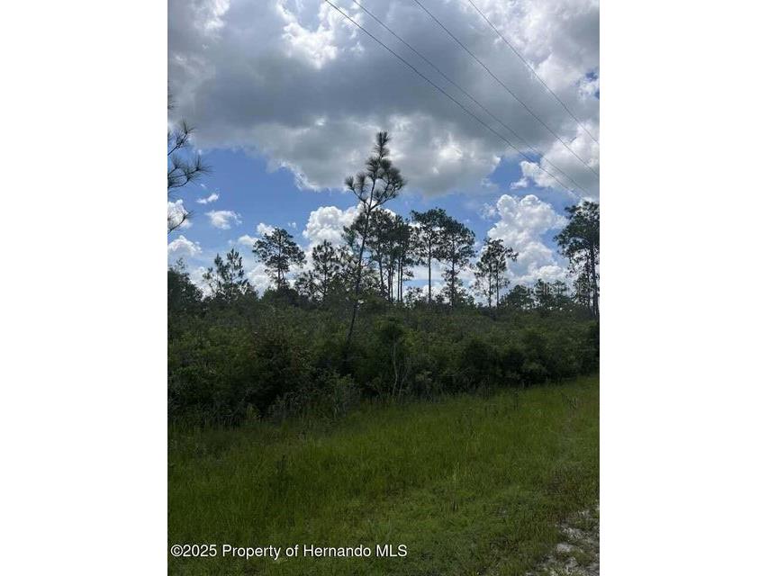 00 Ramsey Road Brooksville FL 34614 TB8329915 image7