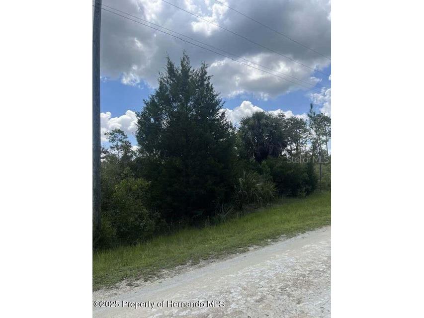 00 Ramsey Road Brooksville FL 34614 TB8329915 image8