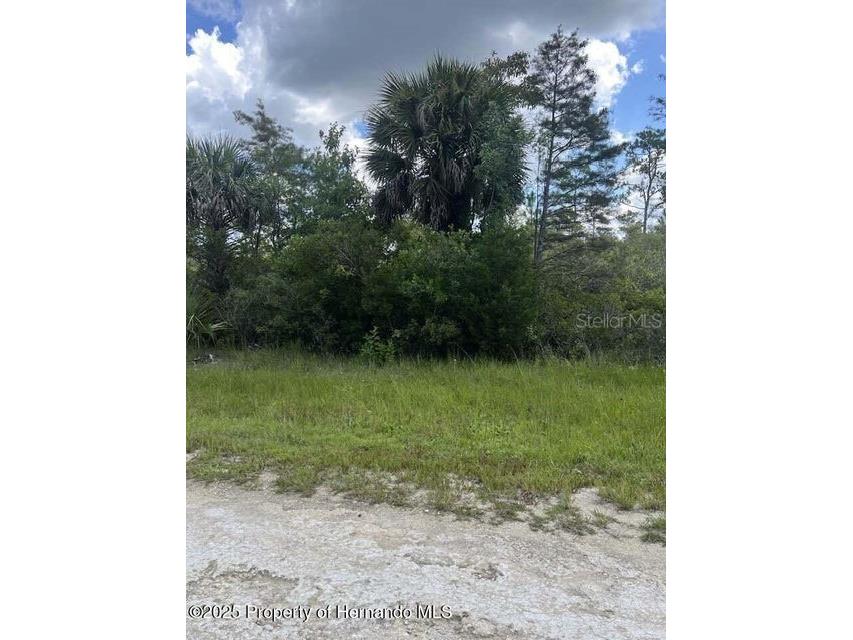 00 Ramsey Road Brooksville FL 34614 TB8329915 image9