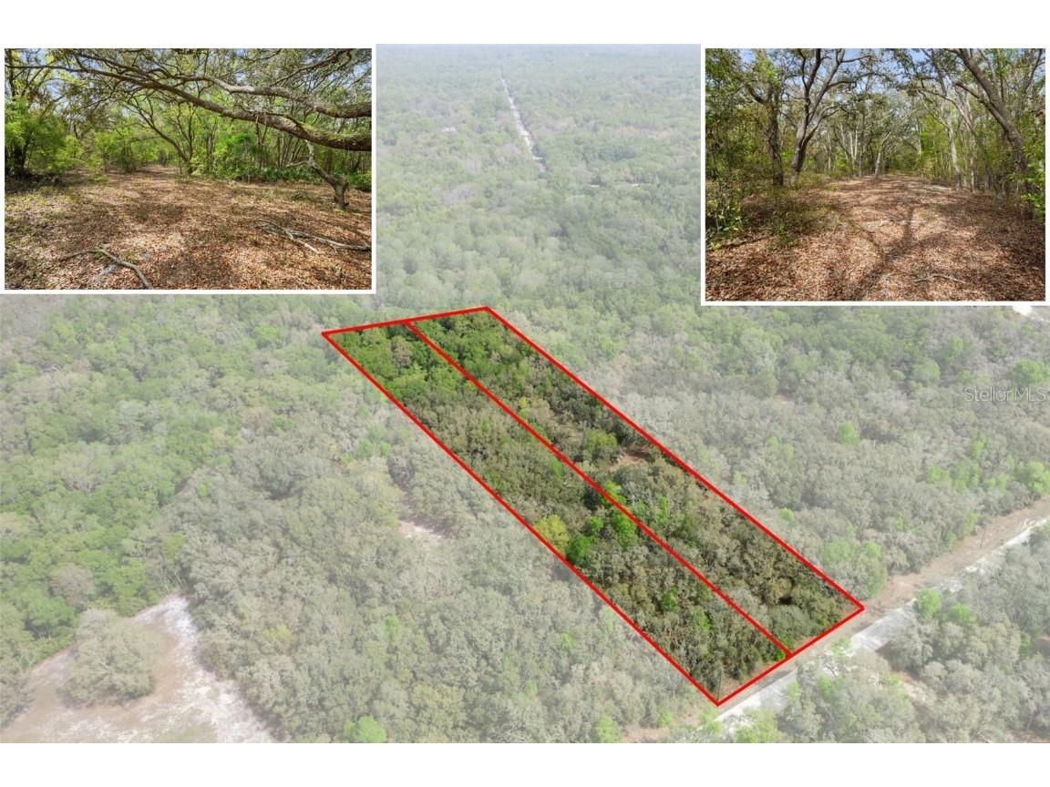 00 Rim Rock Street Webster FL 33597 - LITTLE WITHLACOOCHEE RIVER W7873708 image1