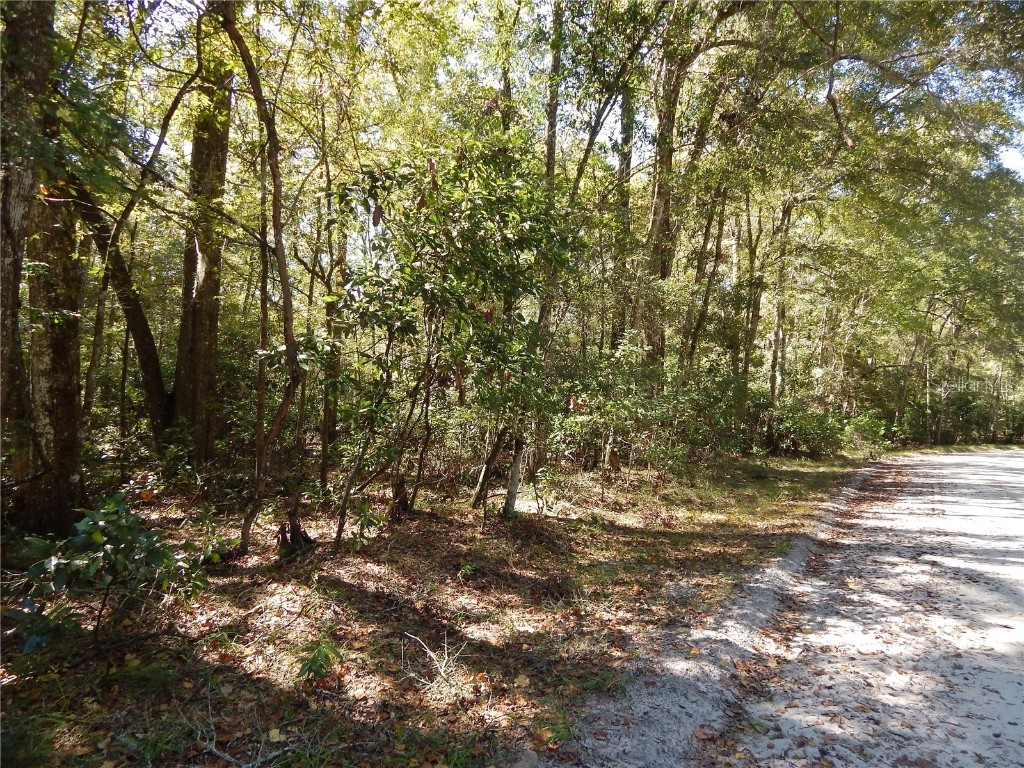 00 River Run Road Branford FL 32008 - ICHETUCKNEE & SANTA FE RIVER GC516904 image1