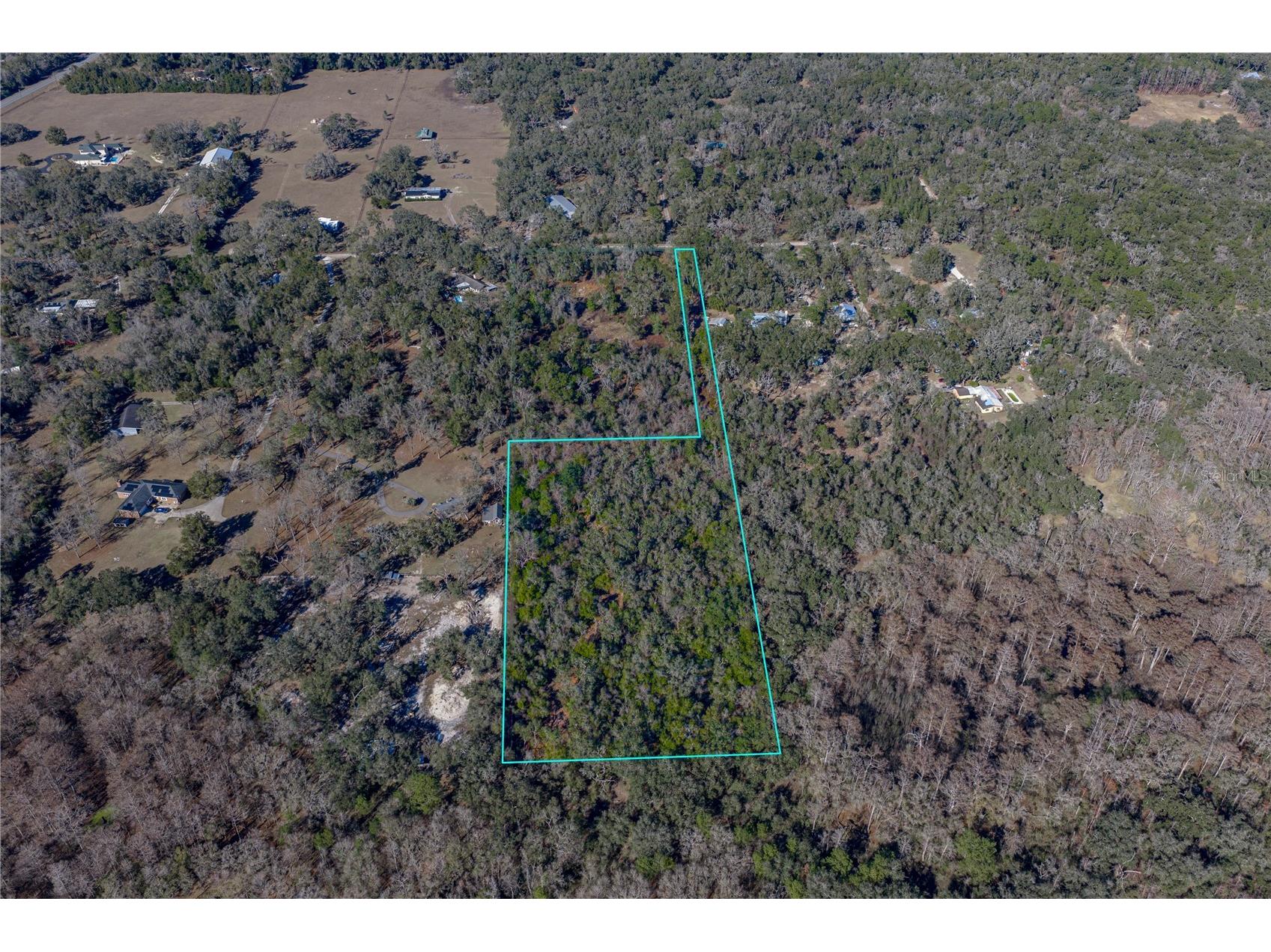 00 Rowntree Drive Dade City FL 33523 TB8471989 image3