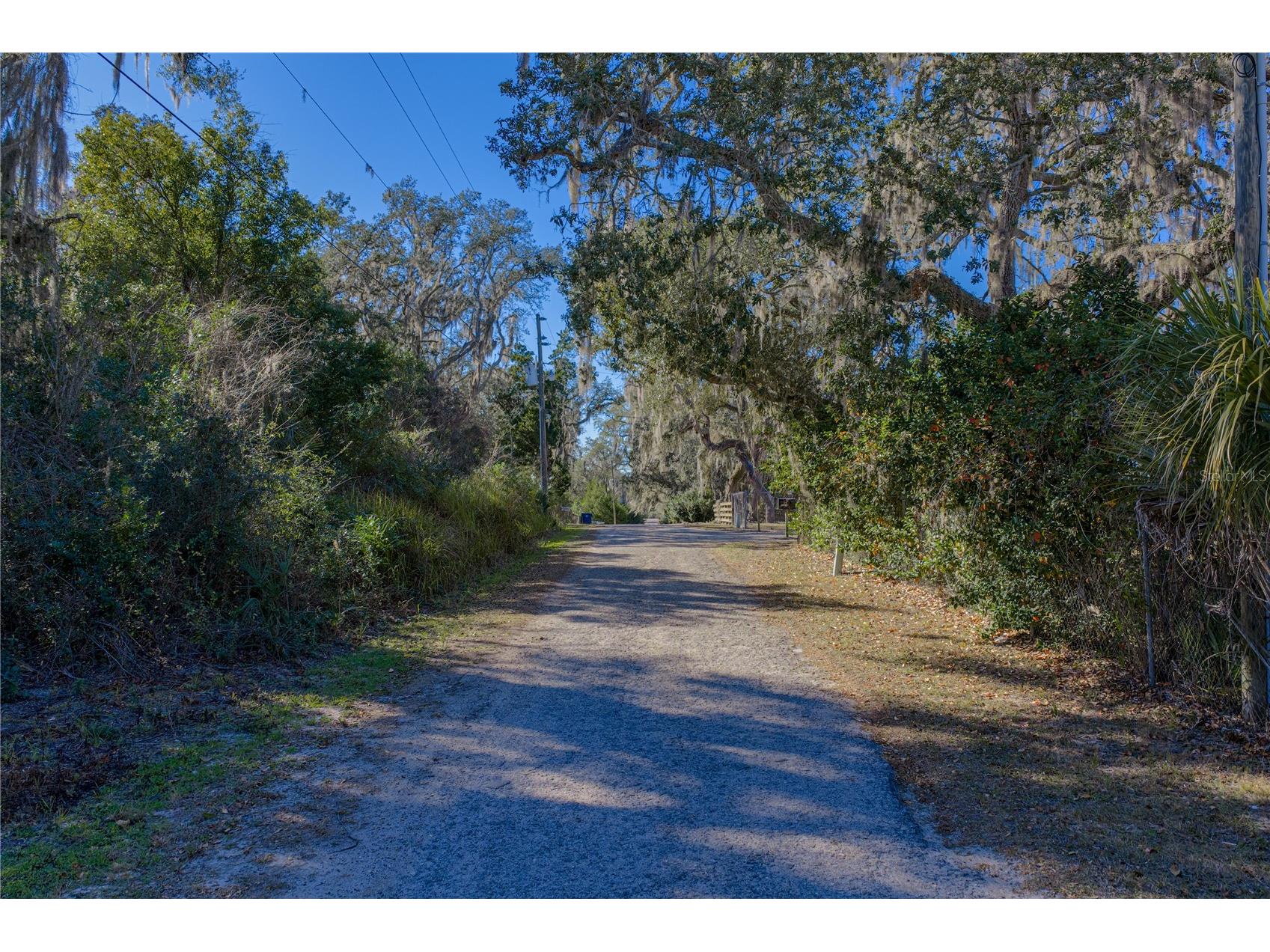 00 Rowntree Drive Dade City FL 33523 TB8471989 image7