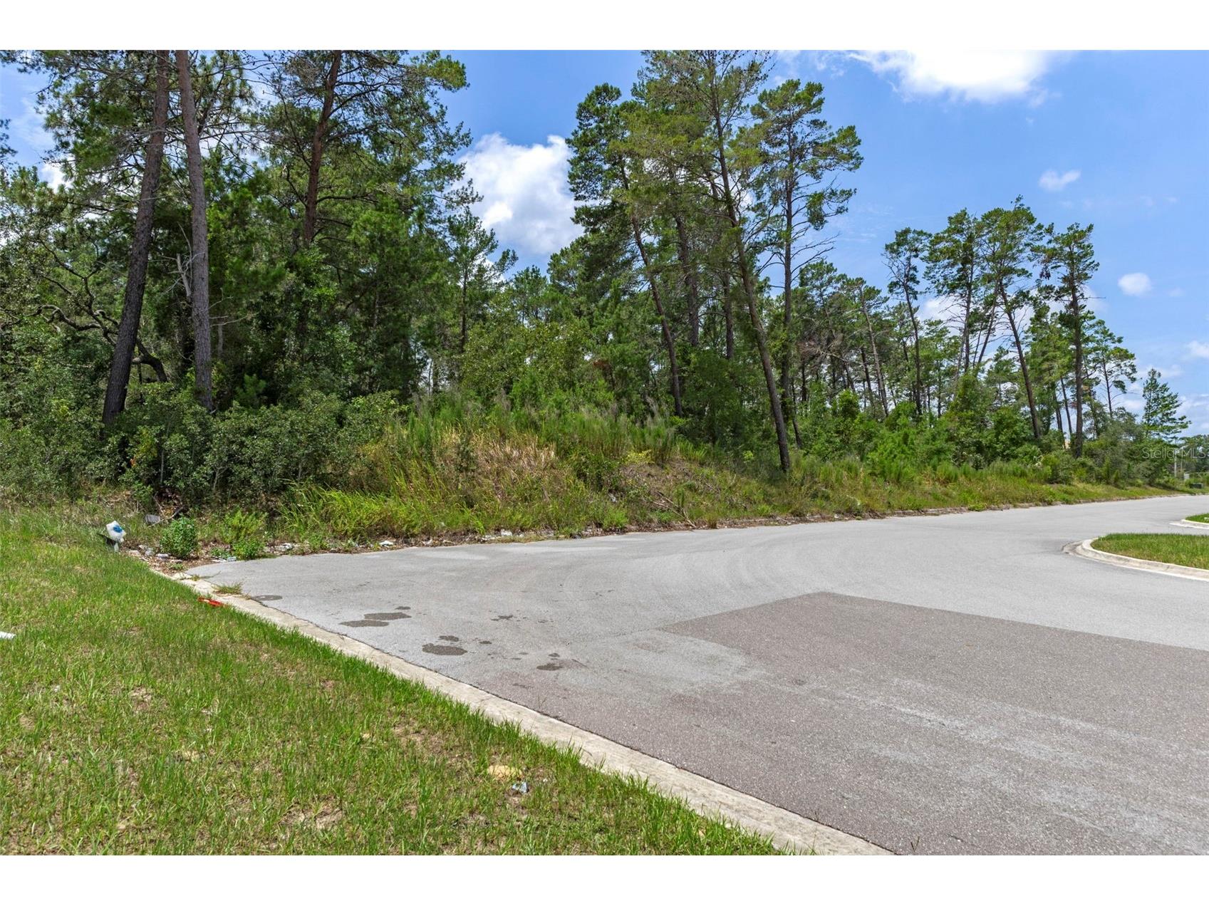 00 Sagheer Street Brooksville FL 34613 W7877112 image32