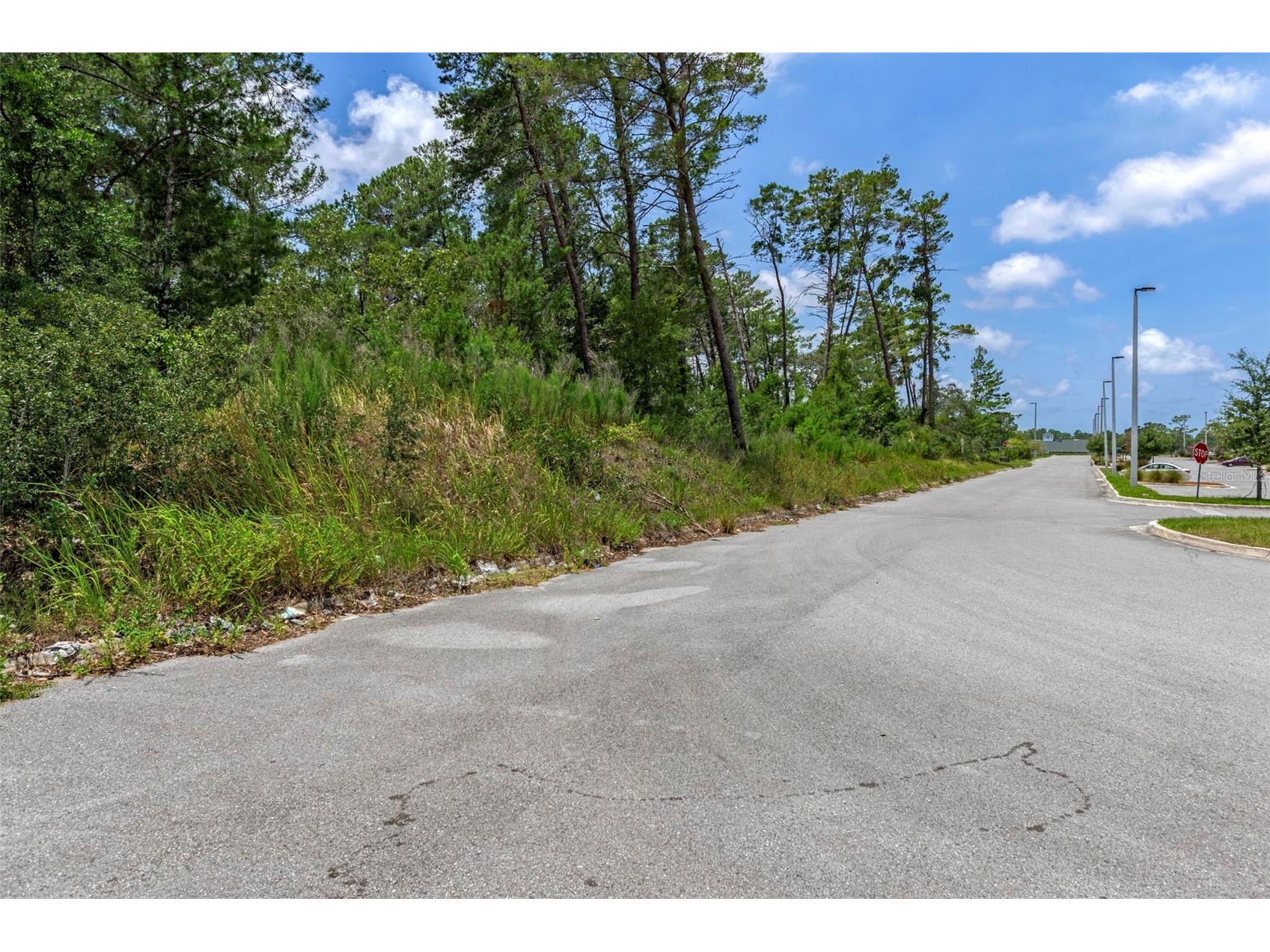 00 Sagheer Street Brooksville FL 34613 W7877112 image33