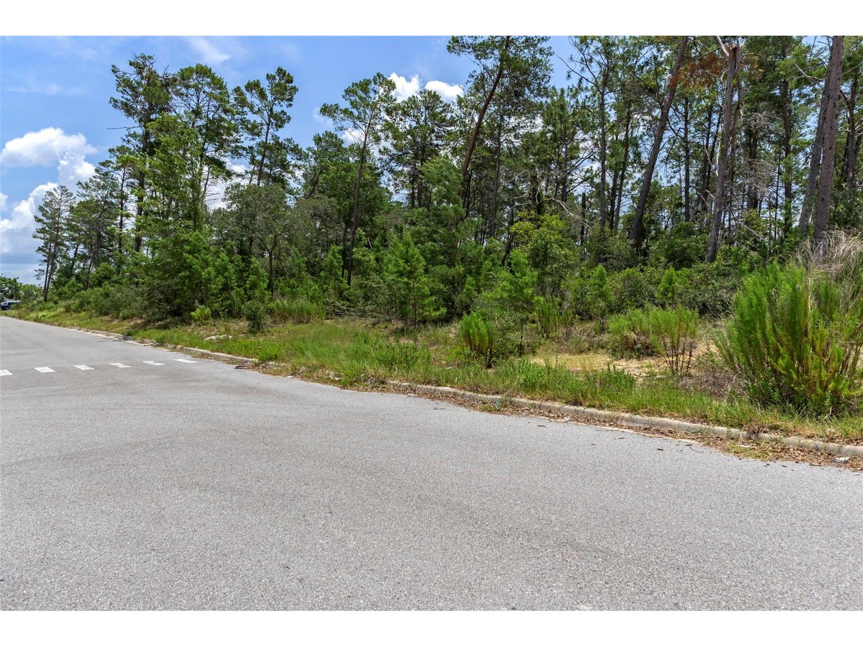 00 Sagheer Street Brooksville FL 34613 W7877112 image34