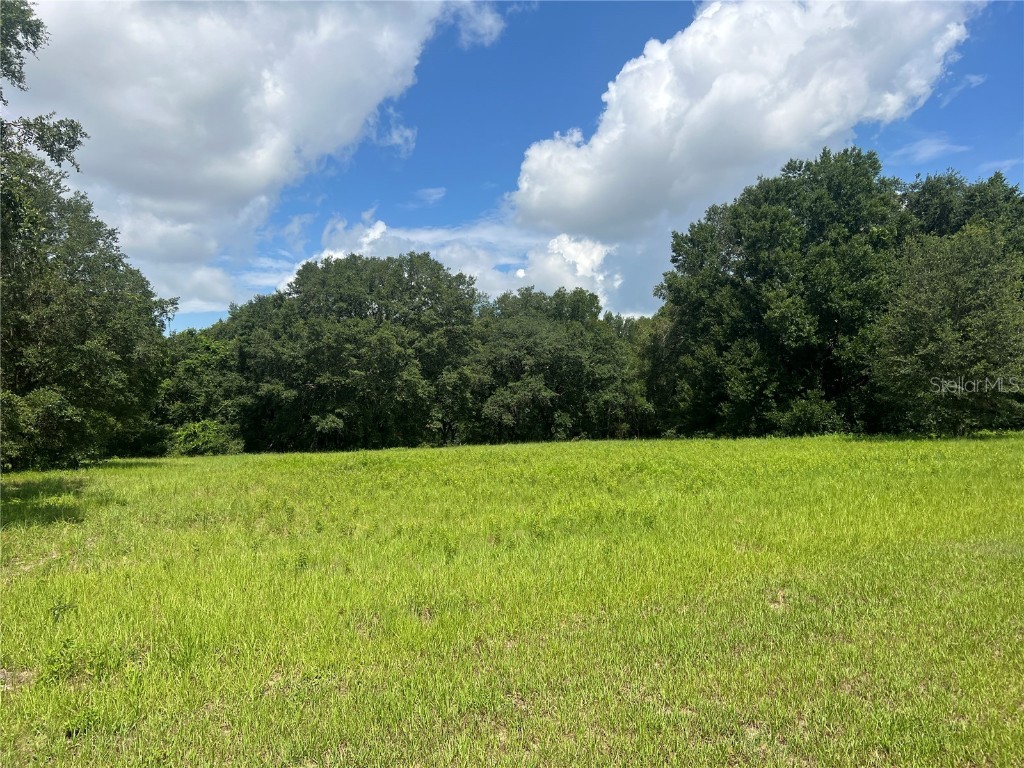 00 SE 101st Court Road Belleview FL 34420 O6125886 image1