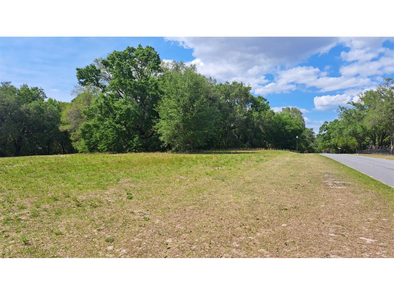 00 SE 101st Ct Road Belleview FL 34420 - Smith Lake OM700907 image2