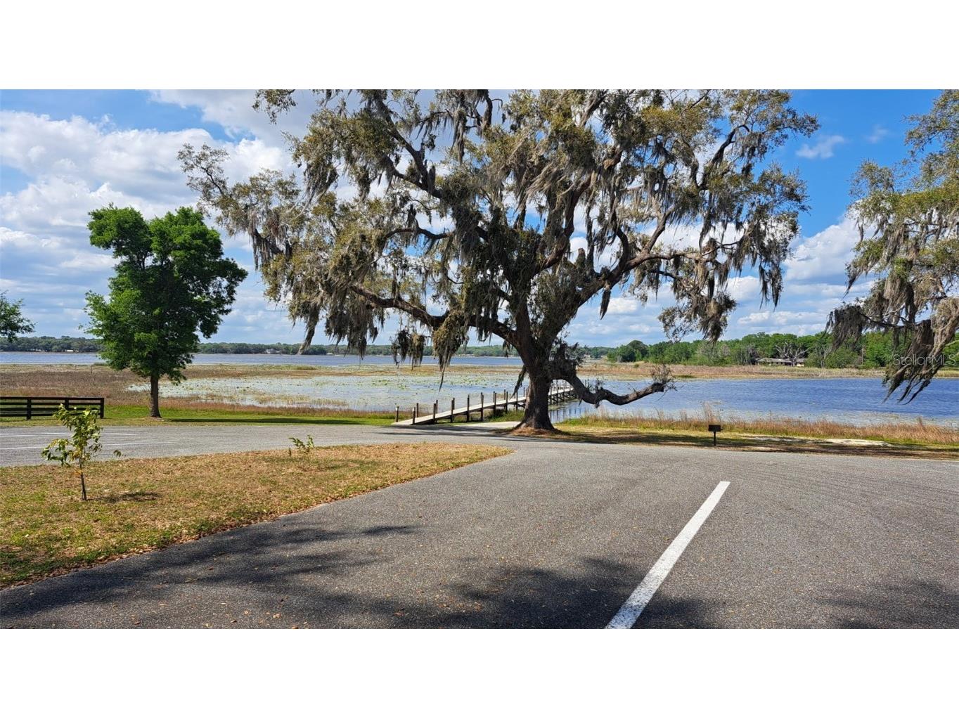 00 SE 101st Ct Road Belleview FL 34420 - Smith Lake OM700907 image5