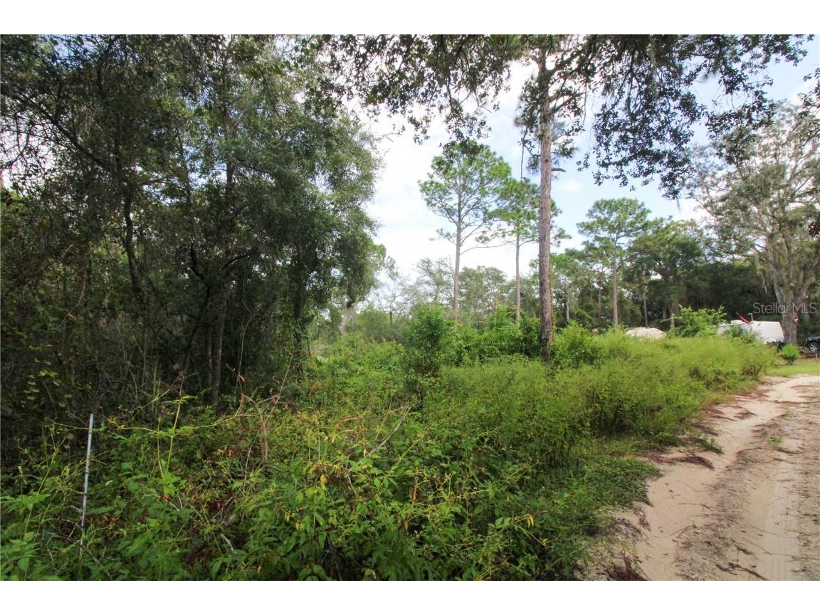 00 Se 10th St Silver Springs FL 34488 OM710922 image2