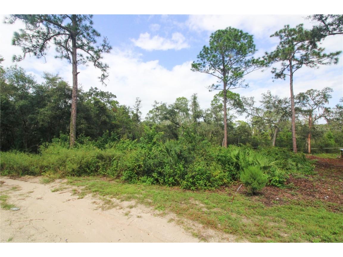 00 Se 10th St Silver Springs FL 34488 OM710922 image3
