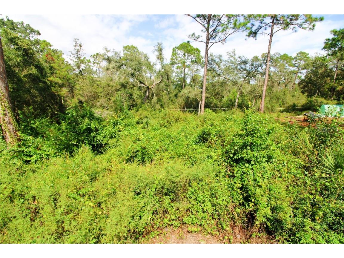 00 Se 10th St Silver Springs FL 34488 OM710922 image4