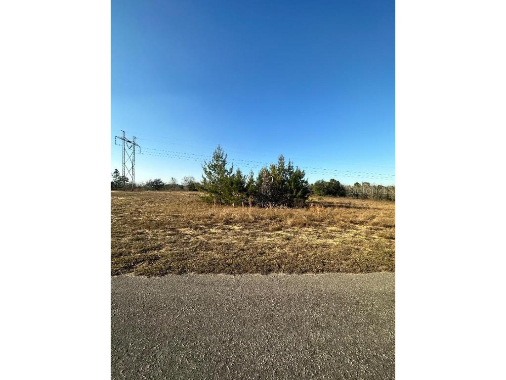 00 SE 115th Place Road Ocklawaha FL 32179 OM652782 image1