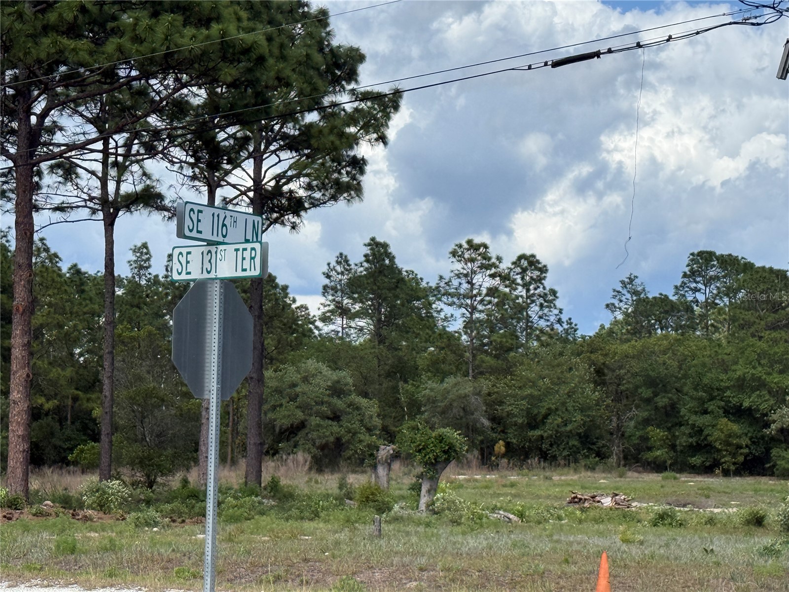 00 SE 116th Lane Dunnellon FL 34431 OM724117 image3