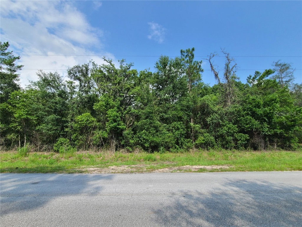 00 SE 125th Court Dunnellon FL 34431 OM656814 image1