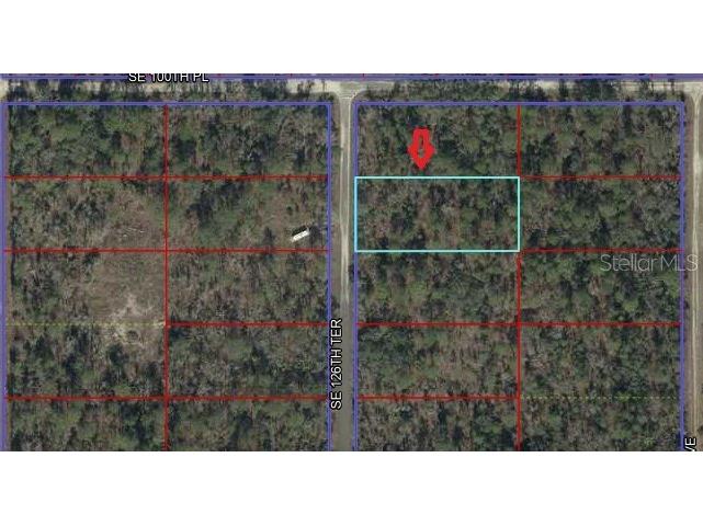00 Se 126th Terrace Dunnellon FL 34431 OM724098 image2