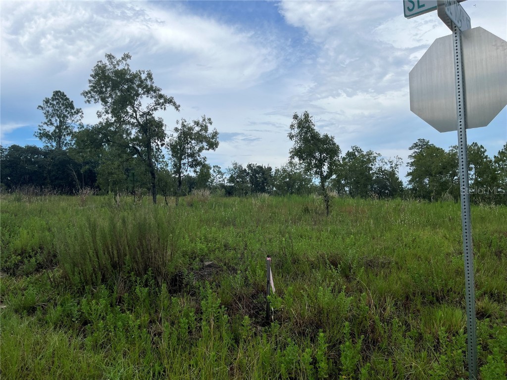 00 SE 129 Court Dunnellon FL 34431 OM683261 image1