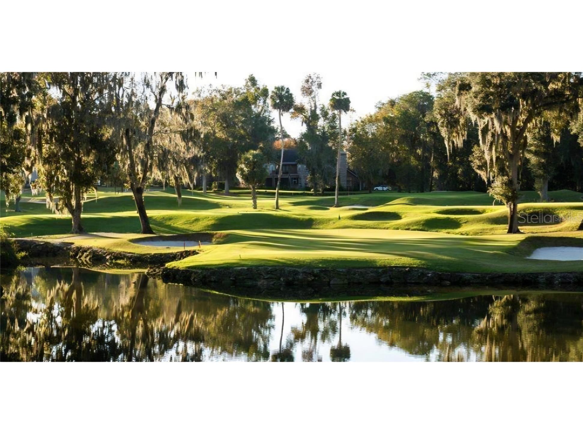 00 SE 12th Circle Ocala FL 34480 OM722918 image3