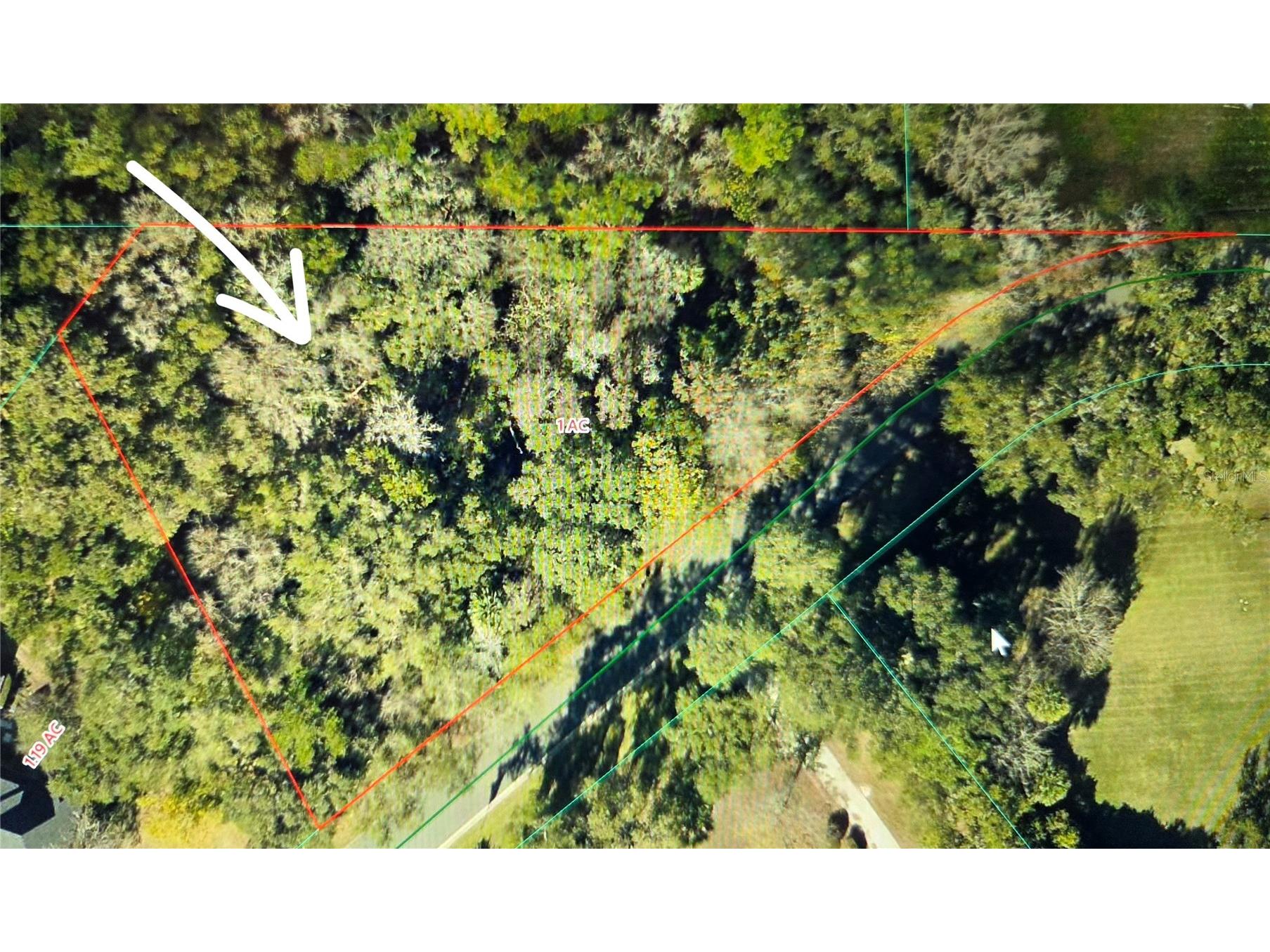 00 SE 12th Circle Ocala FL 34480 OM722918 image6