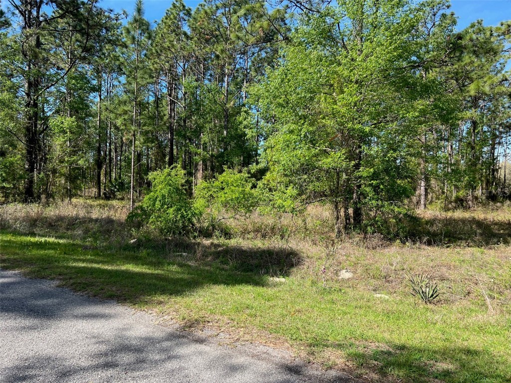 00 SE 130th Court #LOT 22 Dunnellon FL 34431 - TIGER LAKE & LAKE BONABLE OM655674 image1