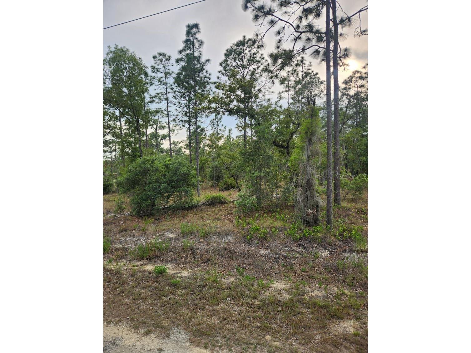 00 SE 130th Ct Dunnellon FL 34431 OM723601 image4