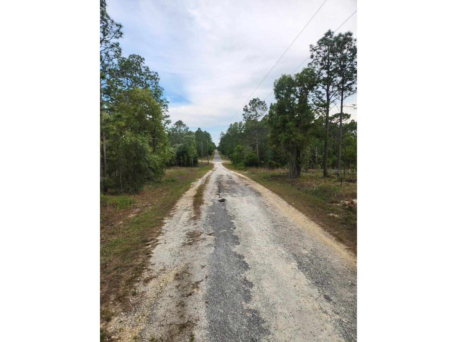 00 SE 130th Ct Dunnellon FL 34431 OM723601 image5