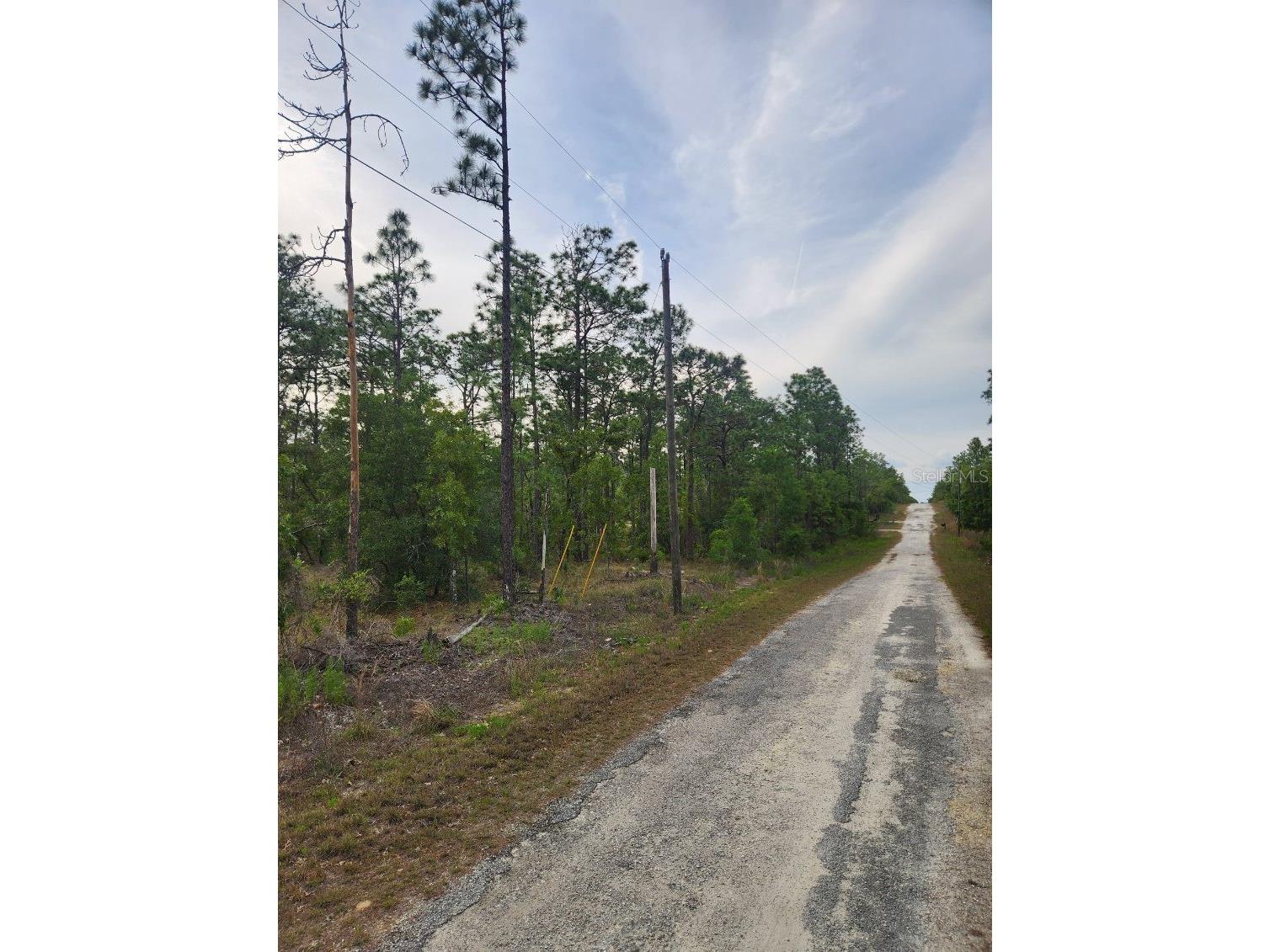 00 SE 130th Ct Dunnellon FL 34431 OM723601 image6