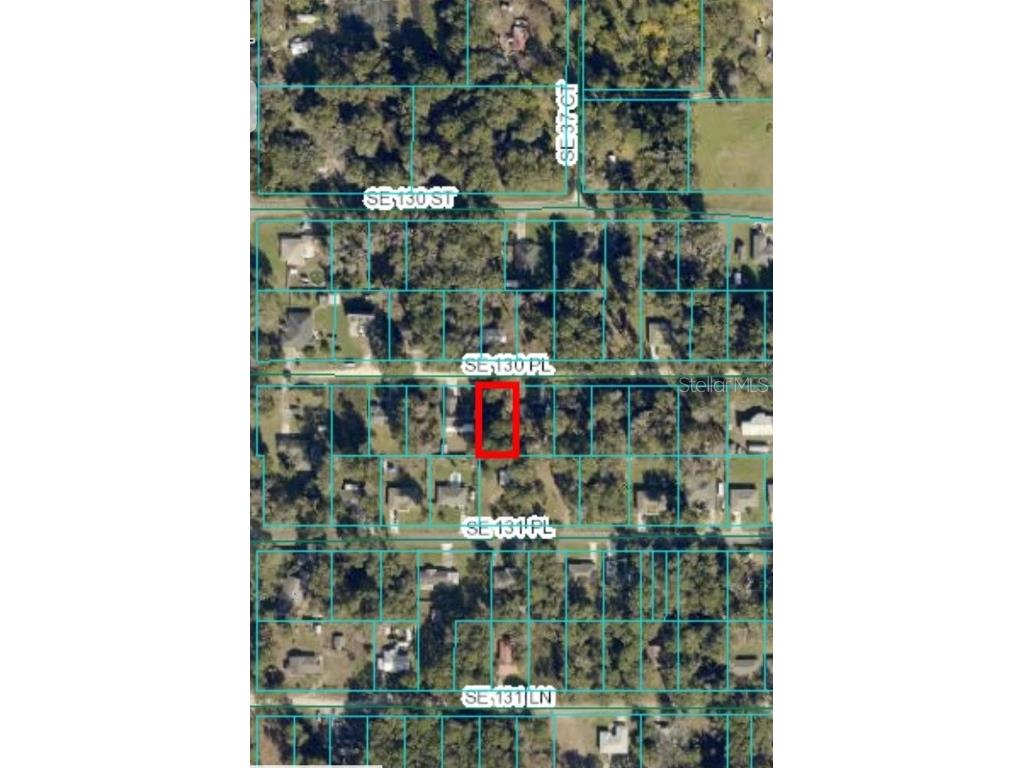 00 SE 130th Place Summerfield FL 34491 OM682485 image1