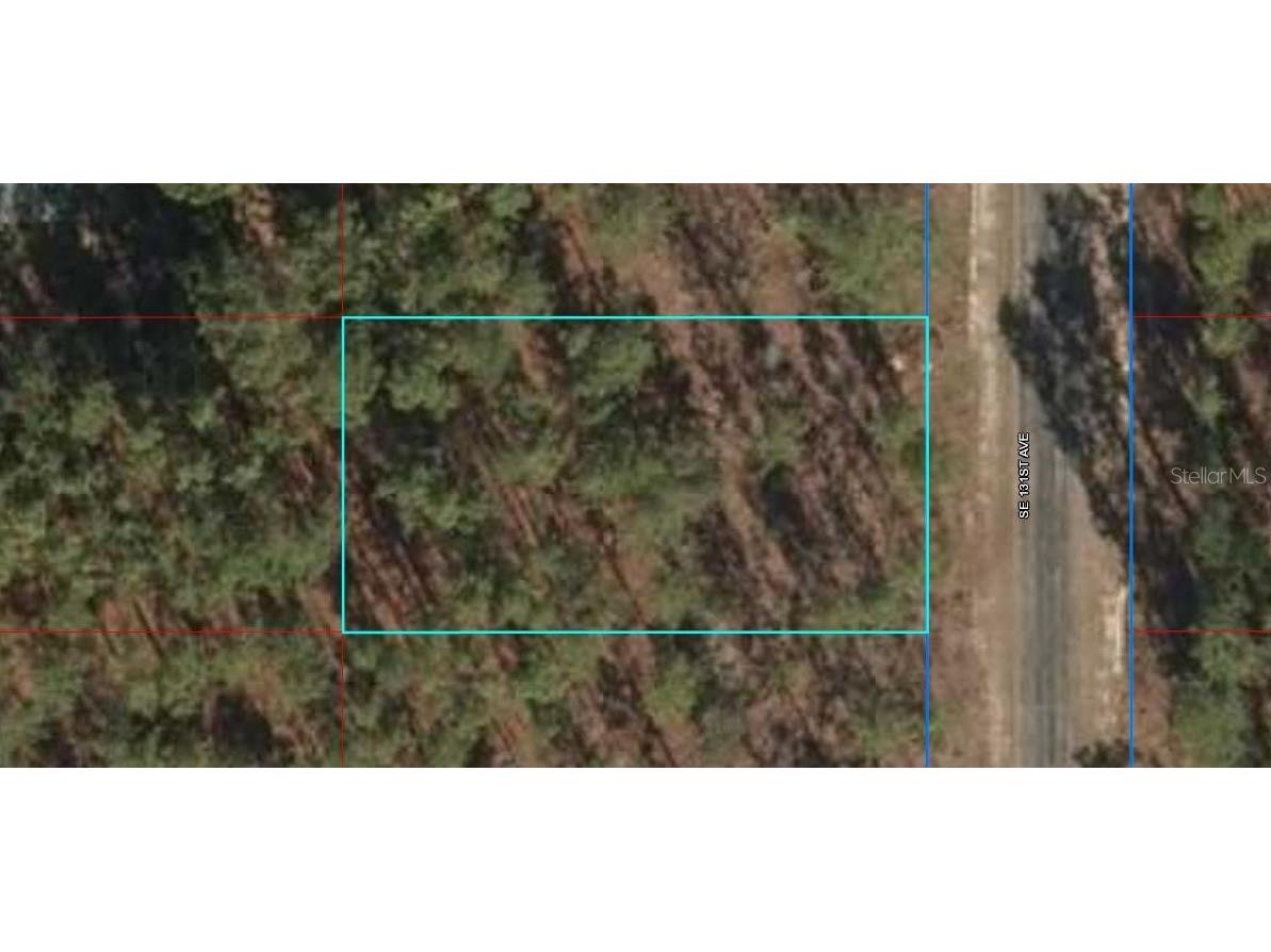 00 SE 131 Avenue Dunnellon FL 34431 OM632893 image1