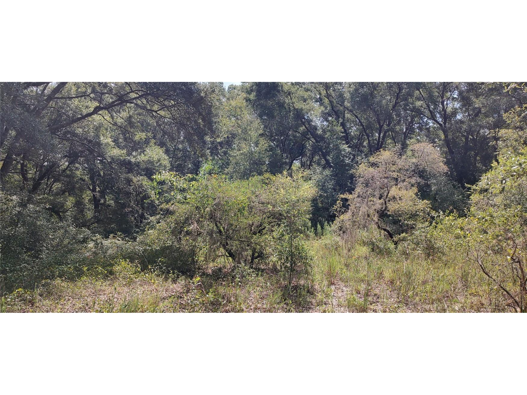 00 SE 131st Lane Belleview FL 34420 OM681654 image1