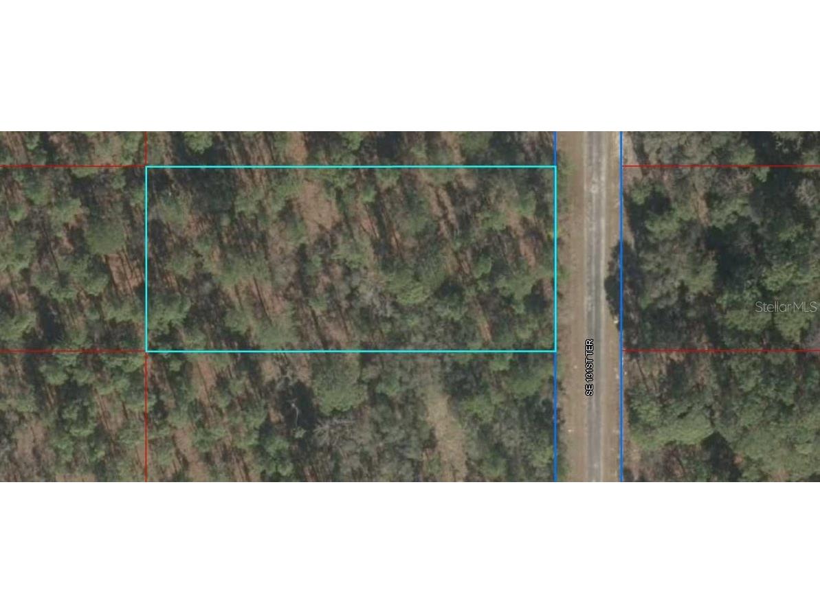 00 SE 131st Terrace Dunnellon FL 34431 - Tiger Lake OM662667 image1
