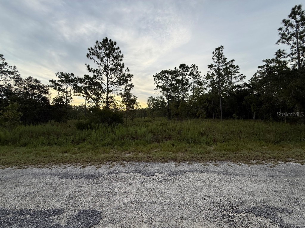 00 SE 134th Court Dunnellon FL 34431 OM706799 image1