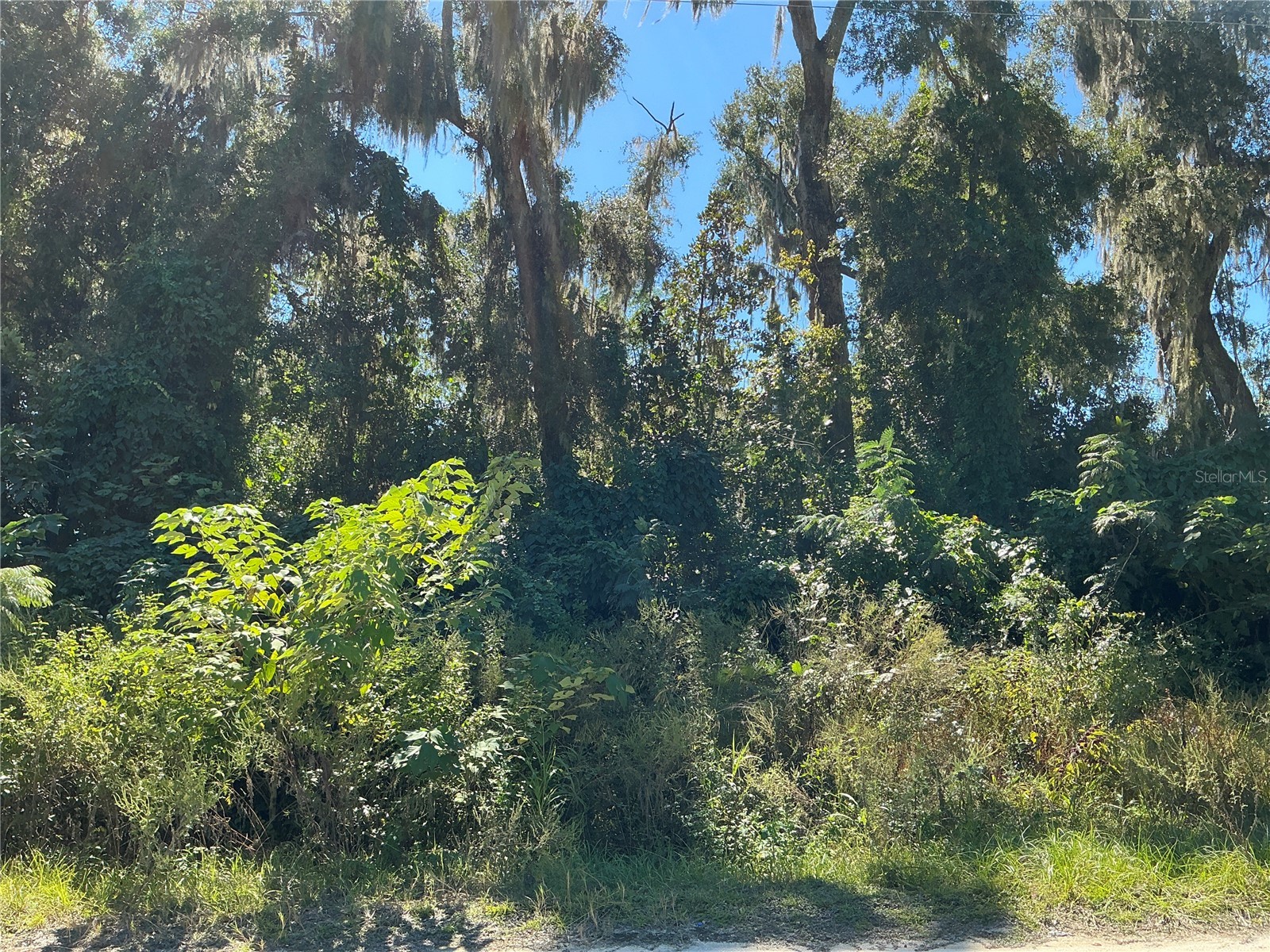00 SE 134th Place Belleview FL 34420 OM714781 image1