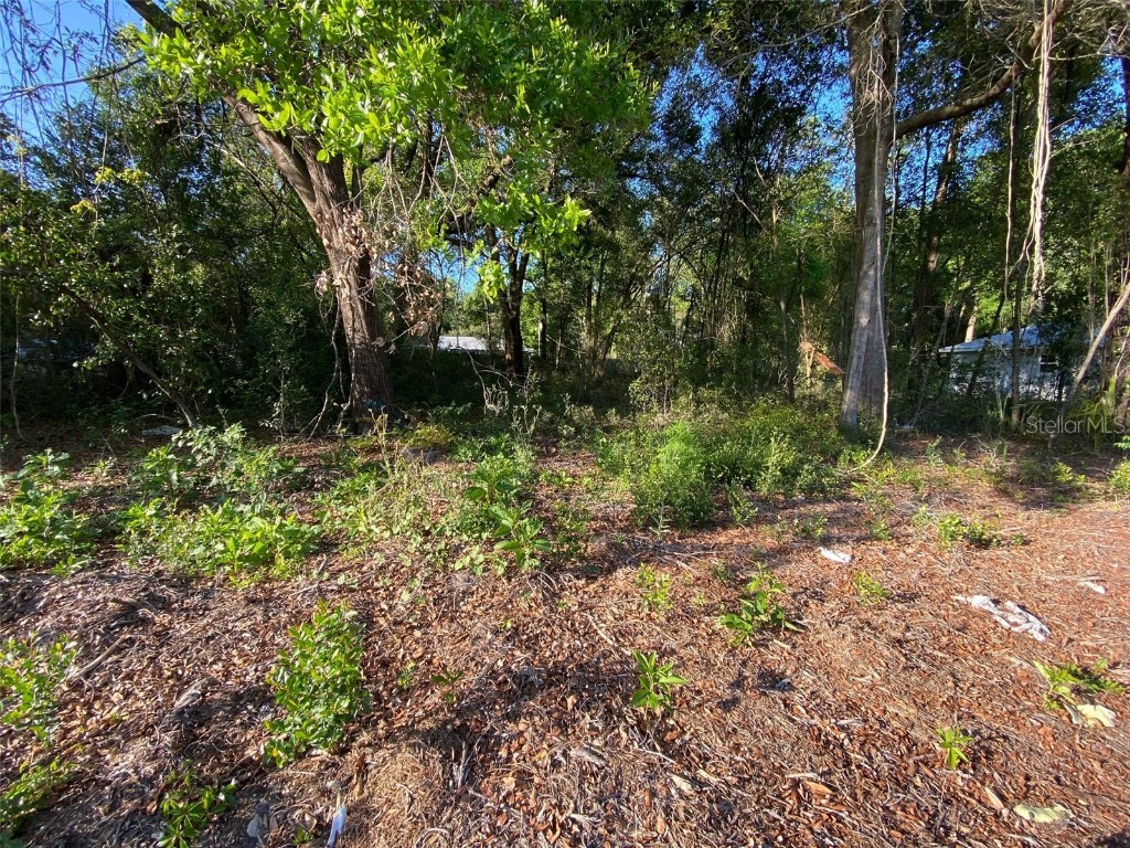 00 SE 136th Street Summerfield FL 34491 G5072725 image1